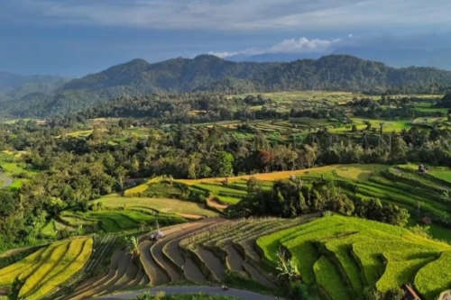 Landscape photo of Pariangan village