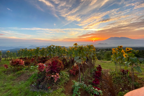 Landscape of Batu Badindiang